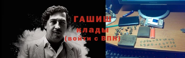 прущий лед Алзамай