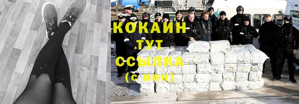 прущий лед Алзамай
