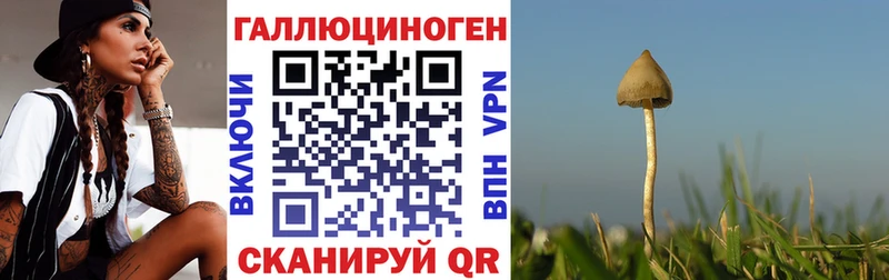 Псилоцибиновые грибы Magic Shrooms  Карталы 