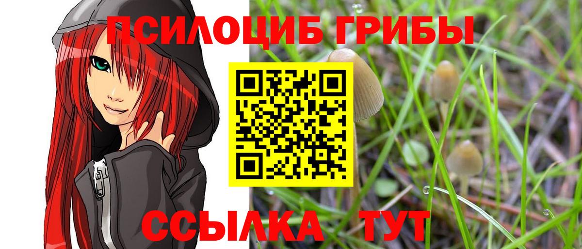 Псилоцибиновые грибы MAGIC MUSHROOMS  Вход с VPN  Карталы 